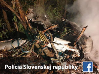 VIDEO: Pri Nových Sadoch spadlo stíhacie lietadlo MiG-29