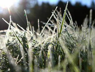 Varování meteorologů: Přízemní mráz může poškodit úrodu