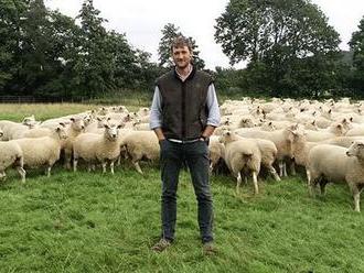 Ovce bychom museli vybít, říká britský farmář o možnosti tvrdého brexitu