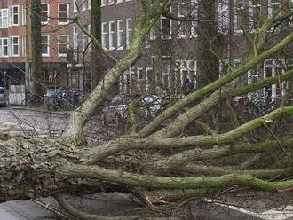 Vietor na severe Nemecka vyvracal stromy a zapríčinil ochromenie železničnej dopravy
