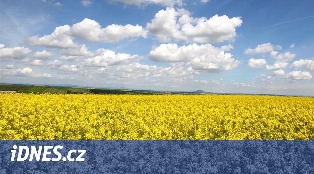 EU může zakázat v Česku nejpoužívanější insekticid. Může poškodit mozek