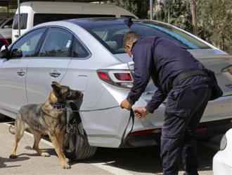 USA poslali do Jordánska psy vycvičené na hľadanie výbušnín, zomierajú pre zlú starostlivosť