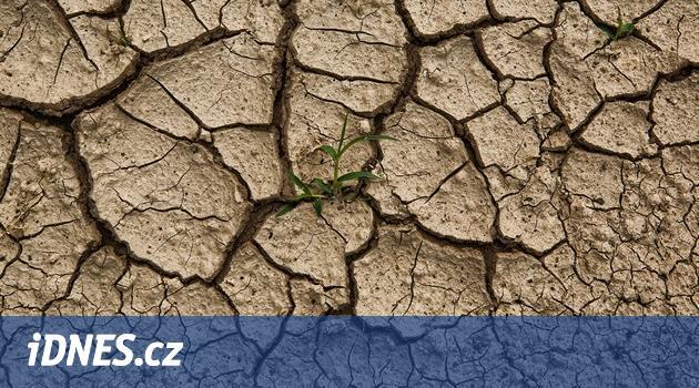 Pozor na pohádky o suchu, píše v eseji agrární analytik Petr Havel