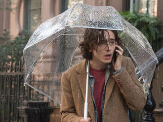 Filmové premiéry: Woody Allen v New Yorku aj dva nové slovenské filmy