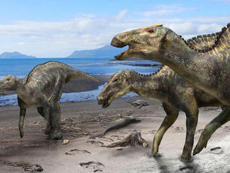 Vedci objavili nový druh bylinožravého dinosaura z obdobia kriedy