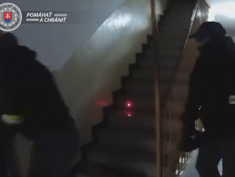 VIDEO Protidrogová akcia v Piešťanoch: Polícia obvinil dvoch bratov, marihuana za tisíce eur
