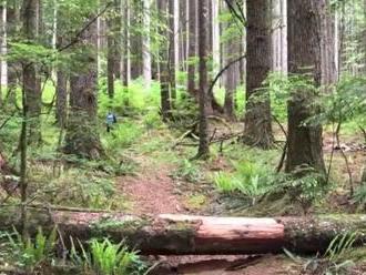 VIDEO Profesor a jeho študenti narazili uprostred kanadskej divočiny na úžasný objav
