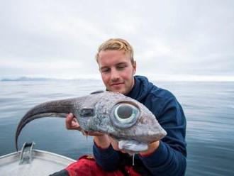 FOTO Nórsky rybár   vytiahol z hlbín mora rybieho mimozemšťana