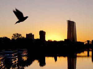 Slovná vojna v ECB: Tradičná debata medzi jastrabmi a holubicami sa vyostruje