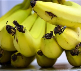 VIDEOTIP Šupky z banánov radšej nevyhadzujte: Pozrite, aké sú ich skvelé účinky!
