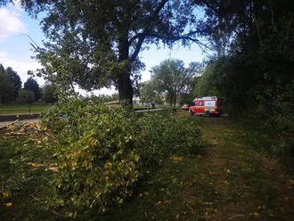 Foto: Silný vietor vyvalil strom, spadol na žiakov základnej školy a zabil 14-ročné dievča