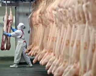 Produkce masa v Česku v loňském roce stoupla o 0,8 procenta