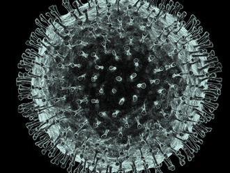 Coronavirus affecting tech firms as WHO declares global emergency     - CNET