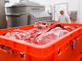 Prepravka na mäso z plastu je dnes obľúbenejšia než nerezová