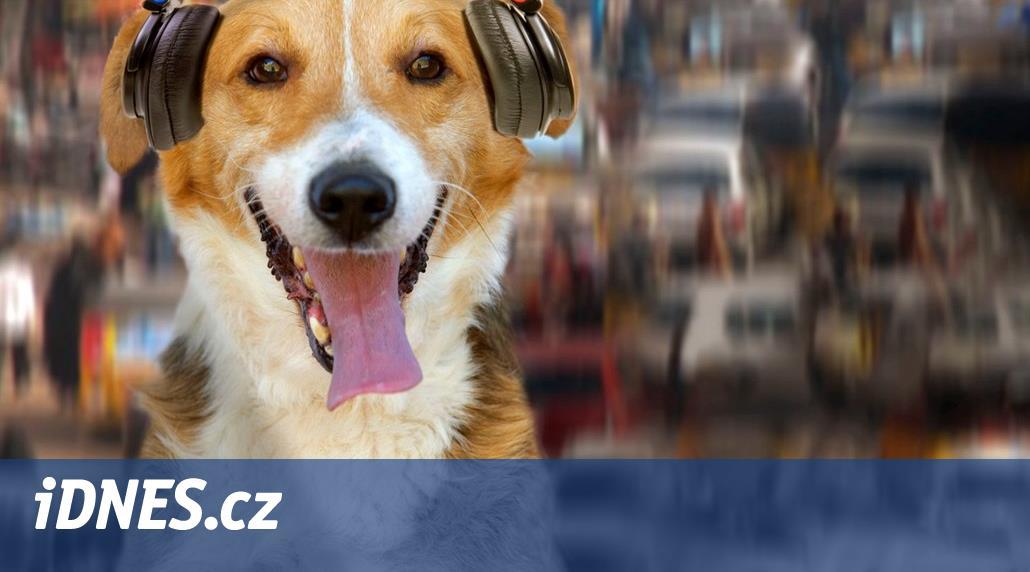 Spotify má nový playlist pro mazlíčky. Čeští cvičitelé jsou skeptičtí