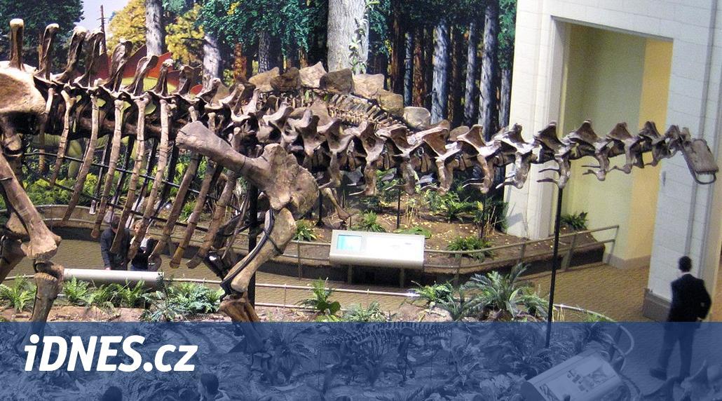 Hmotnost největších dinosaurů mohla kolísat o stovky kilogramů v řádu dní