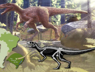 VIDEO: Brazílska pampa bola rajom dinosaurov z čias ešte pred jurou