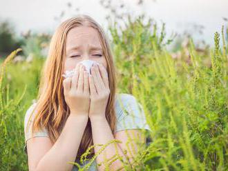 10 vecí, ktoré by alergici na palinu a ambróziu mali vedieť