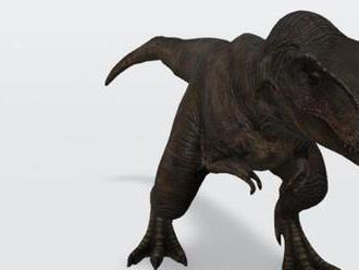 Christie's vydraží jednu z najväčších kostier Tyrannosaura rexa