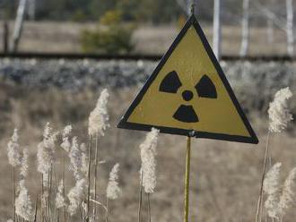 Ochráni ľudstvo pred radiáciou huba z černobyľského reaktora?