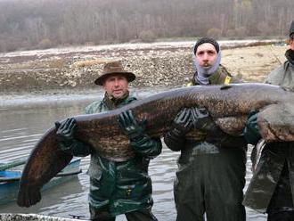 FOTO: Výlov na Ružinej museli zastaviť, problémom sú veľké ryby