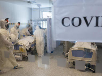 V Česku zemřelo přes 8000 lidí s prokázaným koronavirem