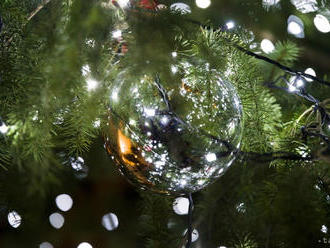 Bardejovské Radničné námestie zdobí vianočný stromček