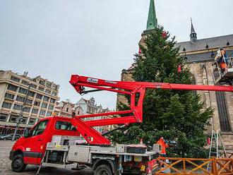 FOTO: Na náměstí v Plzni zdobí vánoční strom
