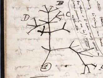 Z knižnice Cambridgeskej univerzity zrejme ukradli Darwinove zápisníky