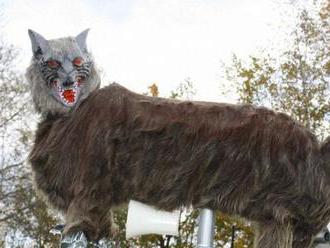 Japonci do polí inštalovali robotických vlkov, majú odradiť medvede