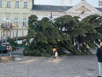 Košice a Prešov už majú vianočné stromčeky
