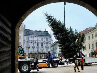 V centre Bratislavy už stoja vianočné stromy