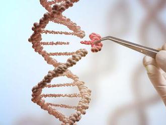 Slovenská firma vyvinula vlastné DNA testy. Analyzujú možné choroby aj športové nadanie