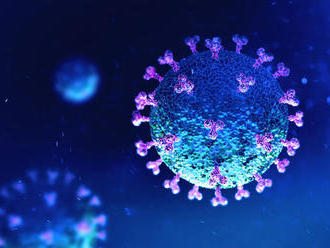 Odborníci: Zmutovaný vírus sa ľahšie prenáša na deti