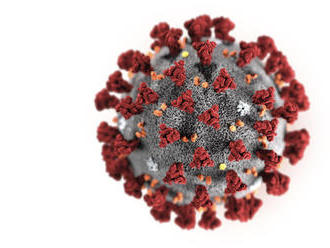 Štúdia: Nová mutácia koronavírusu nespôsobuje vážnejší priebeh covidu