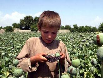 Po heroíne sa Afganistan stáva i popredným výrobcom pervitínu