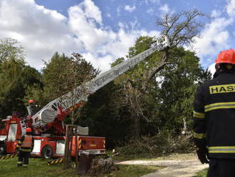 Na jihu Moravy kvůli větru znovu padají stromy, zasahují hasiči