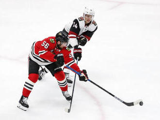 NHL: Obranu Calgary posilnili Forbort a Gustafsson