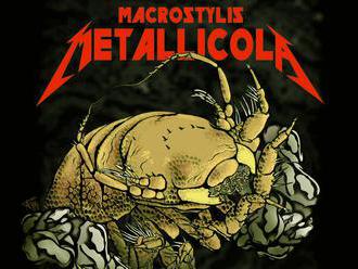 Metal-dwelling crustacean now a Metallica namesake     - CNET
