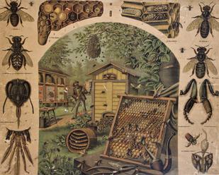 115 let včelařství v Napajedlích