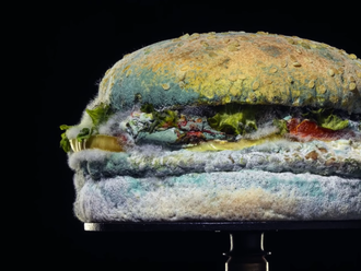Burger King se chlubí plesnivým jídlem. Je to krása bez konzervantů, tvrdí