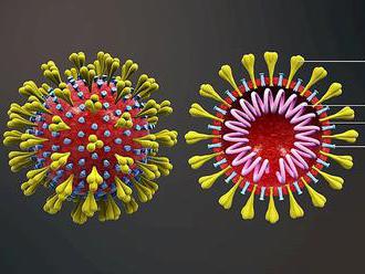 Proč burzy kvůli koronaviru tolik padaly právě včera? Infekce dorazila do symbolické „ústředny“ glob