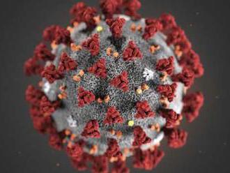 Otázky a odpovede o koronavíruse