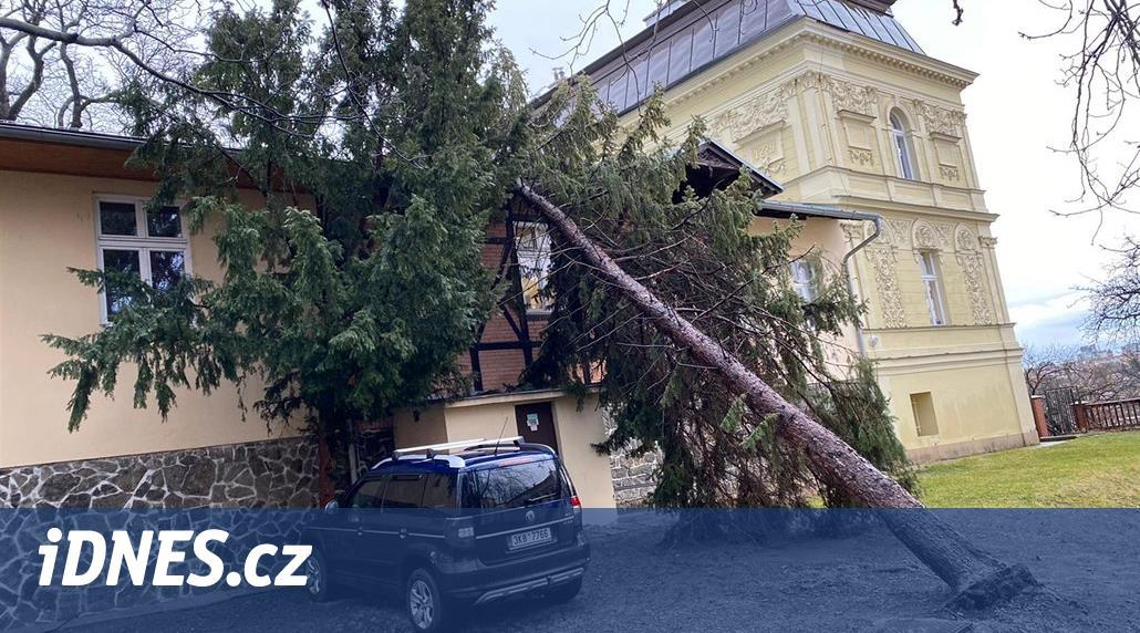 Silný vítr zavřel pražskou zoo, kladenský stadion i parky a hřbitovy