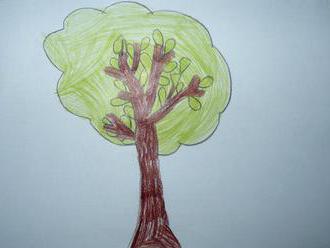 Čo o dieťati prezrádza kresba stromu?  