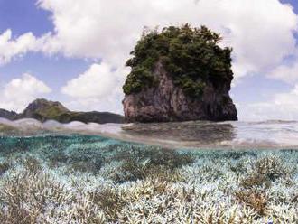  Koralové biotopy na Zemi ohrozuje klimatická zmena