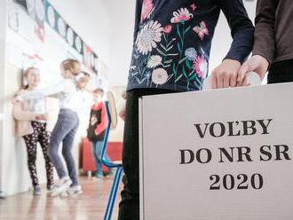 Trafia sa v Buzitke do výsledkov volieb?