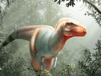 Objavili nový druh tyranosaura. Dostal meno Žnec smrti