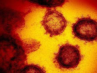 Koronavírus v Číne má na svedomí už viac ako dvetisíc obetí