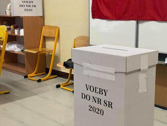 VOĽBY 2020 Vysoká volebná účasť v Nitre prekvapila aj dlhoročných členov komisií